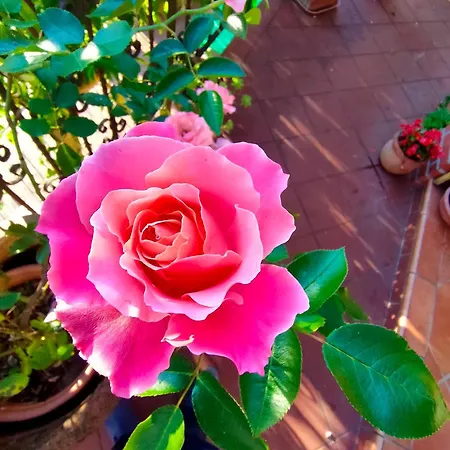 La Casa Del Sole 圣雷默