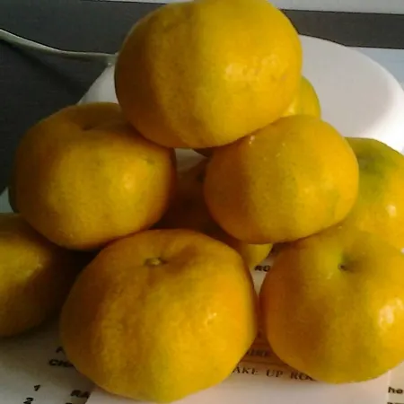 招待所 La Casa Del Sole 3*