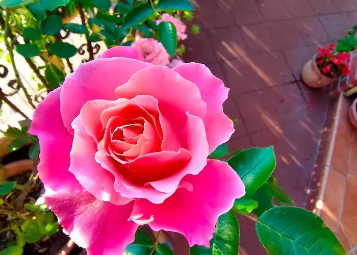 La Casa Del Sole Σαν Ρέμο