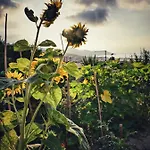La Casa Del Sole 게스트하우스