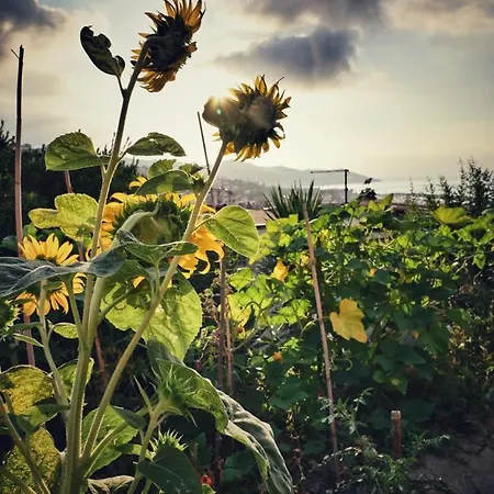 La Casa Del Sole Guest house