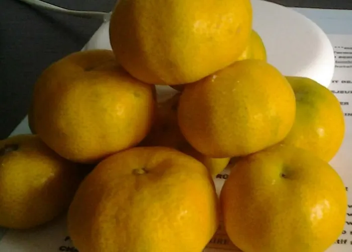 Maison d'hôtes La Casa Del Sole 3*